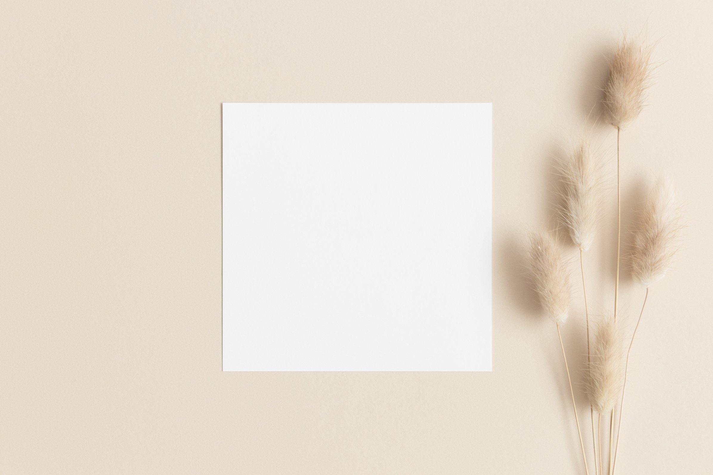 Square invitation card mockup with a lagurus on the beige table.